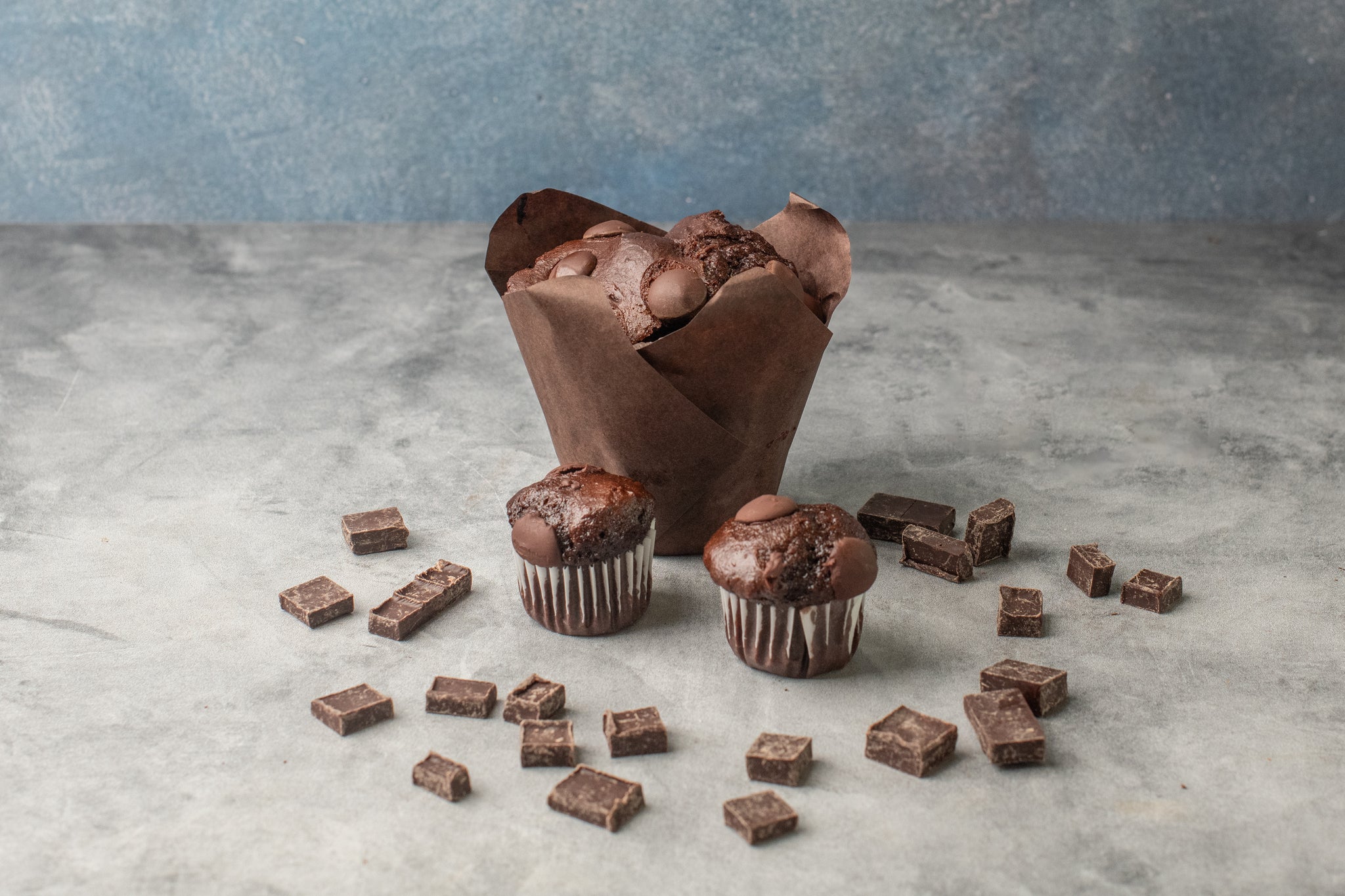 Chocolate Muffins