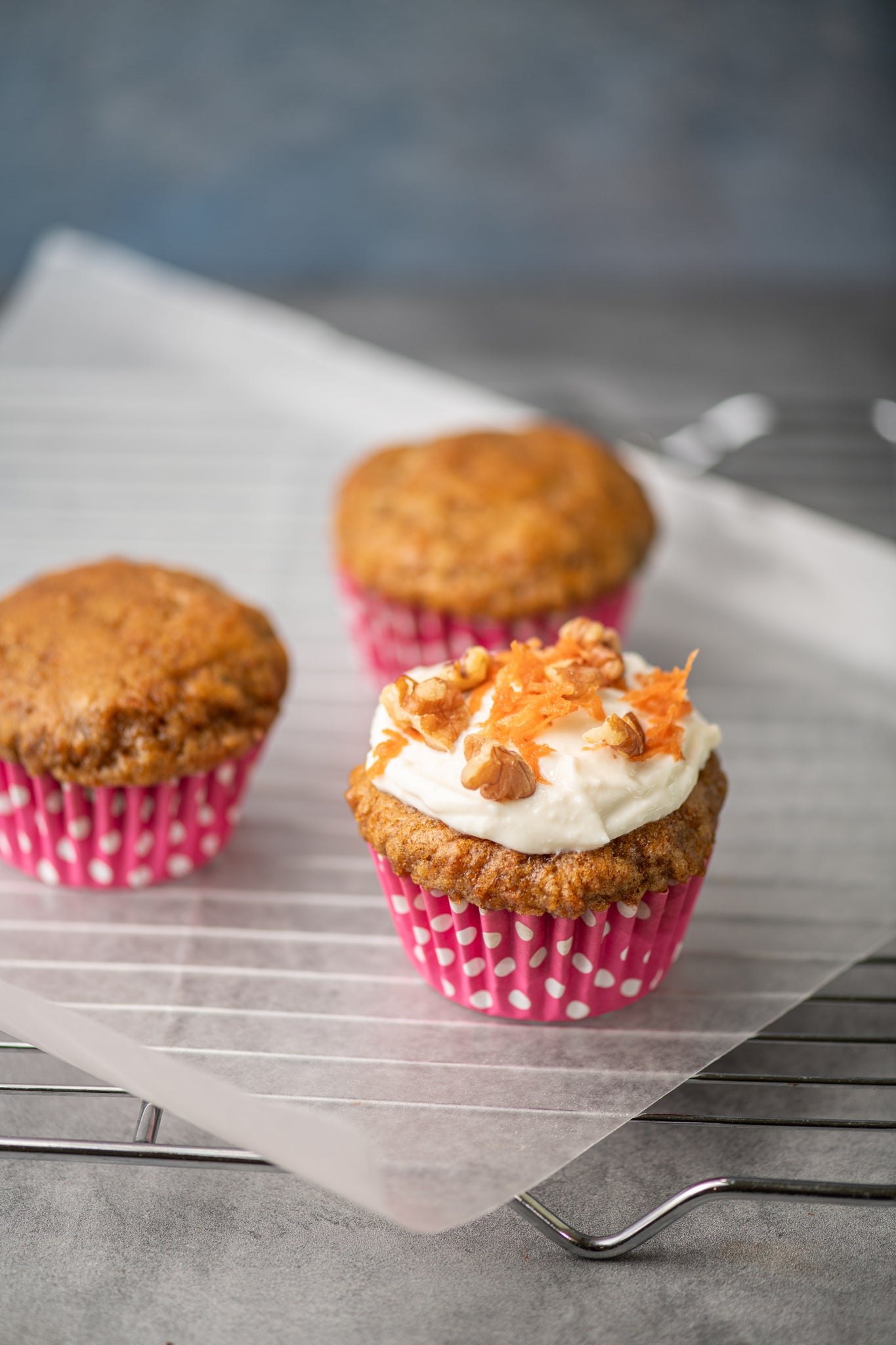Carrot Cupcake - Pack x 4